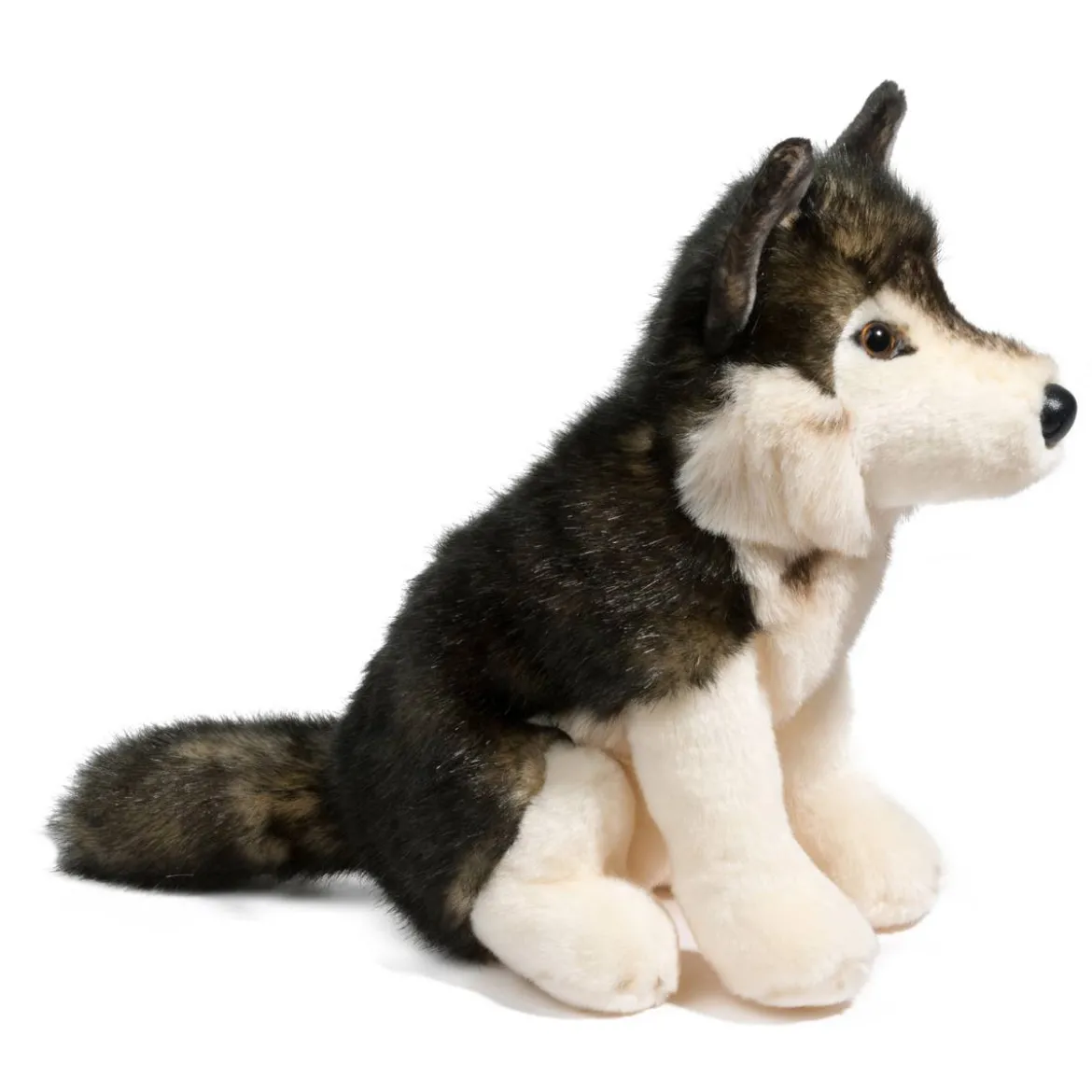 Atka Wolf