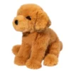 August Golden Retriever