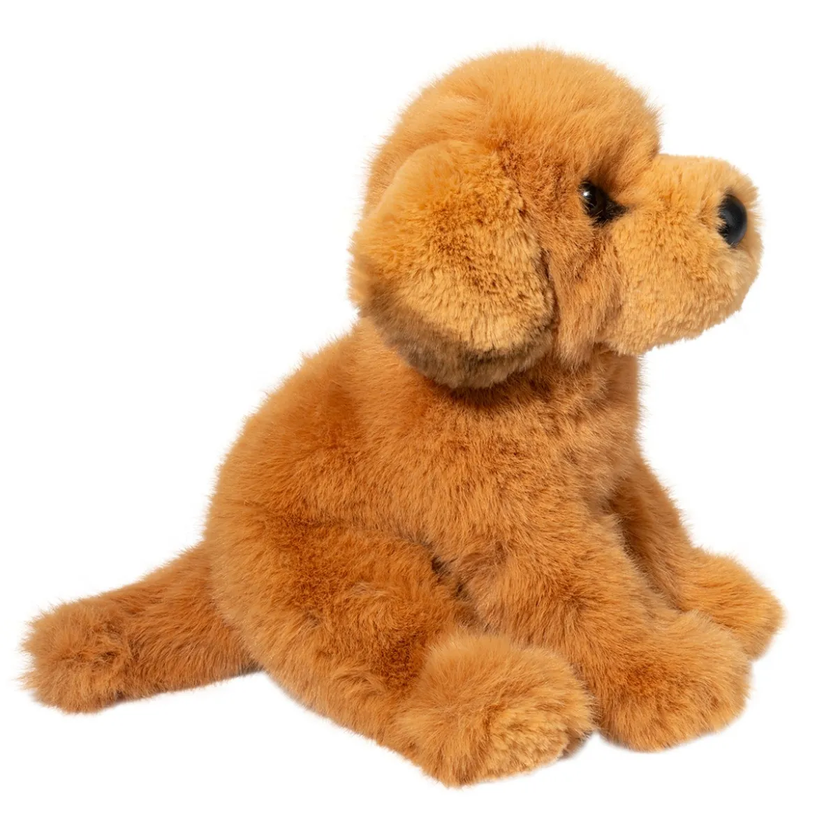 August Golden Retriever