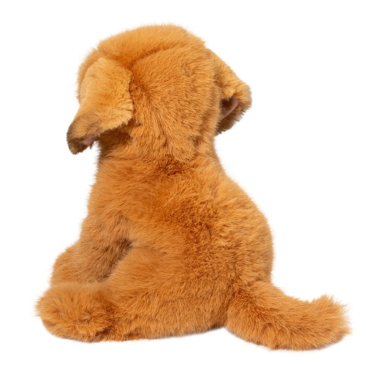 August Golden Retriever