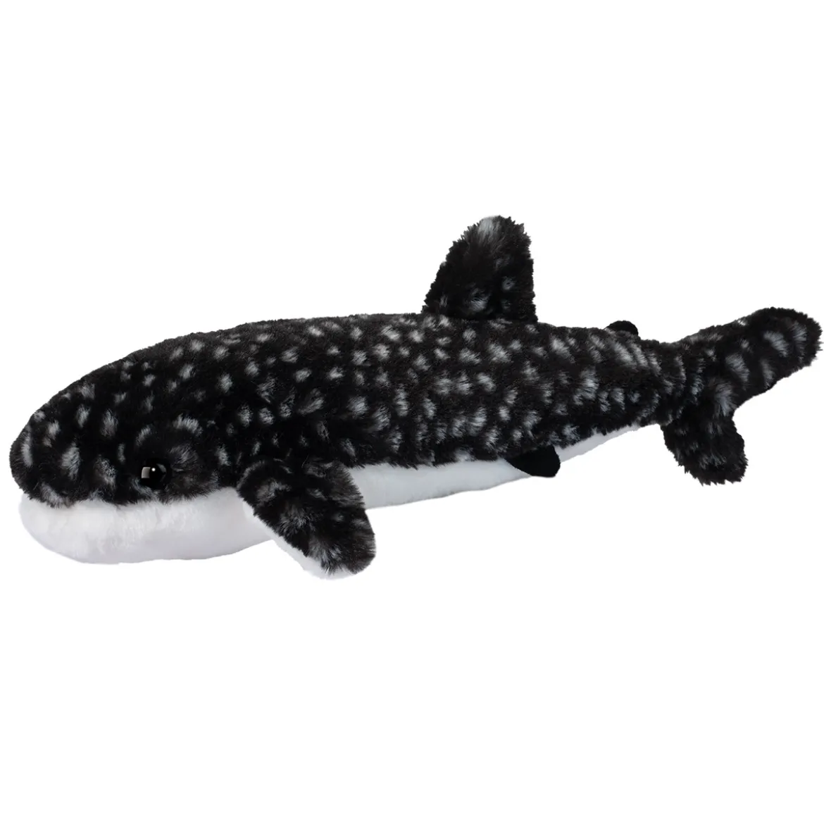 Barnacle Whale Shark