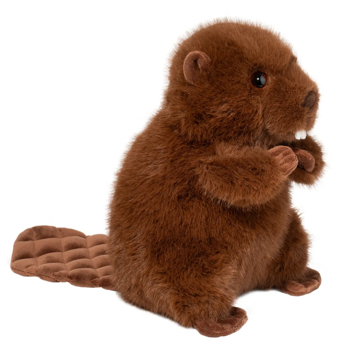 Bev Beaver