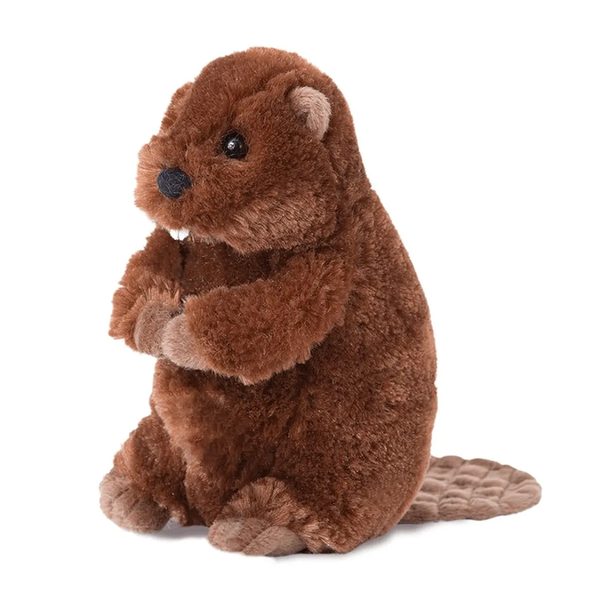 Buddy Beaver