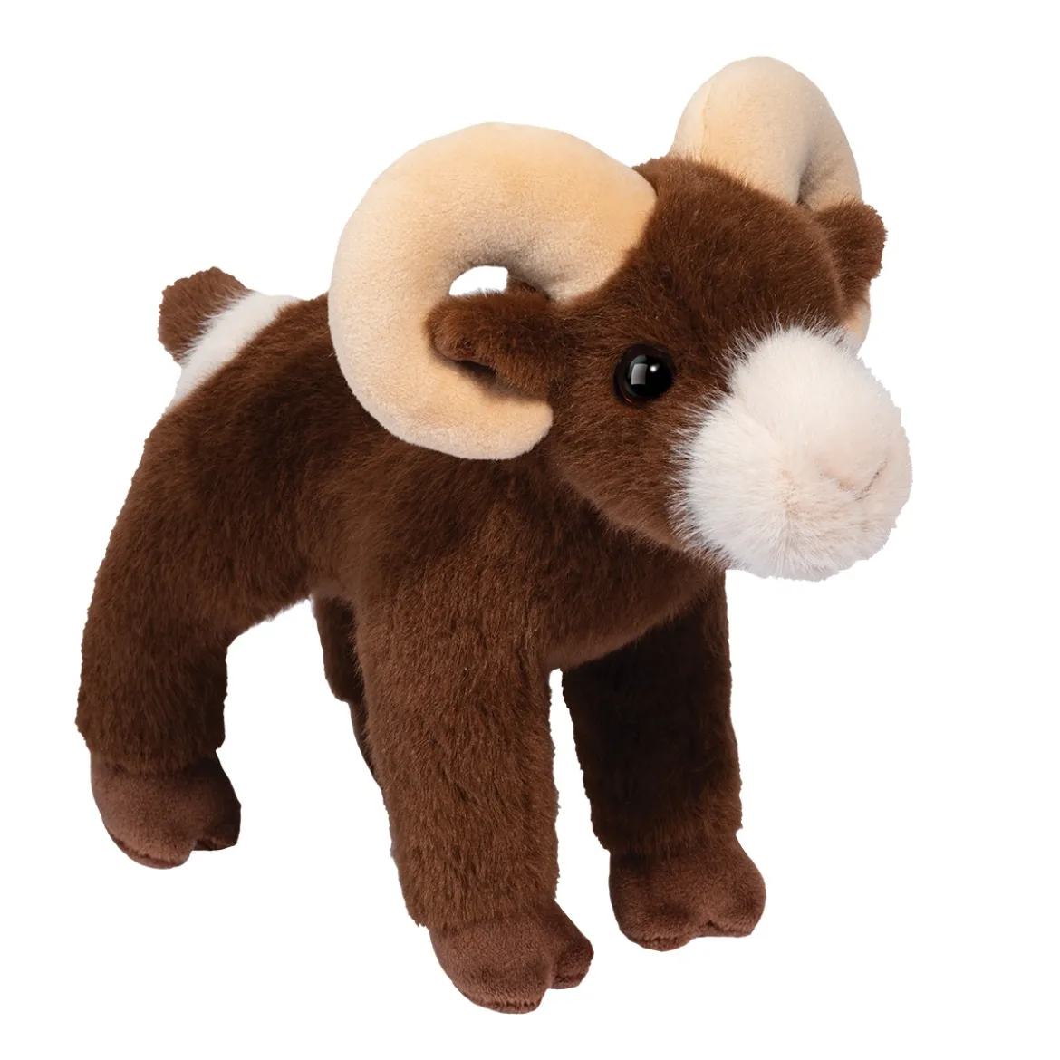 Burly Bighorn Sheep
