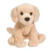 Butter Yellow Lab