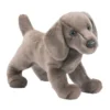 Cassie Weimaraner
