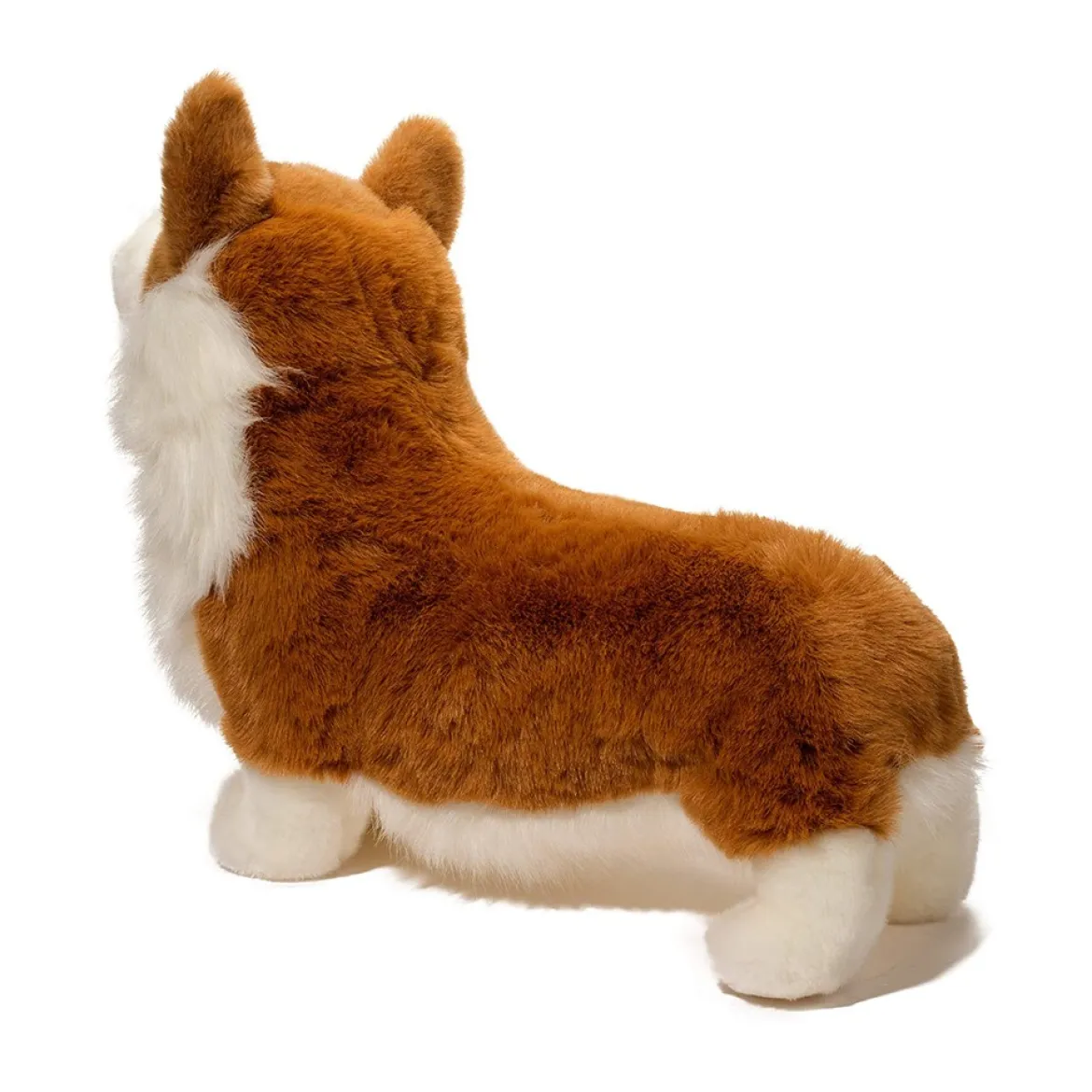 Chadwick Corgi
