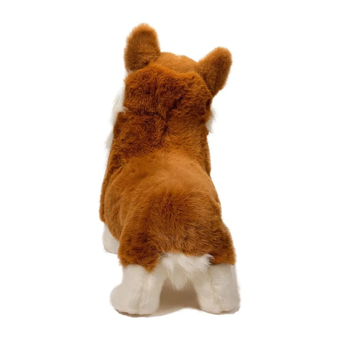 Chadwick Corgi