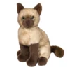 Chai Siamese Cat