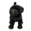 Chester Black Lab