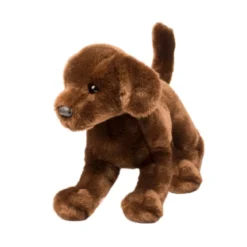 Cocoa Chocolate Lab