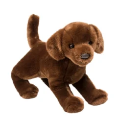 Cocoa Chocolate Lab