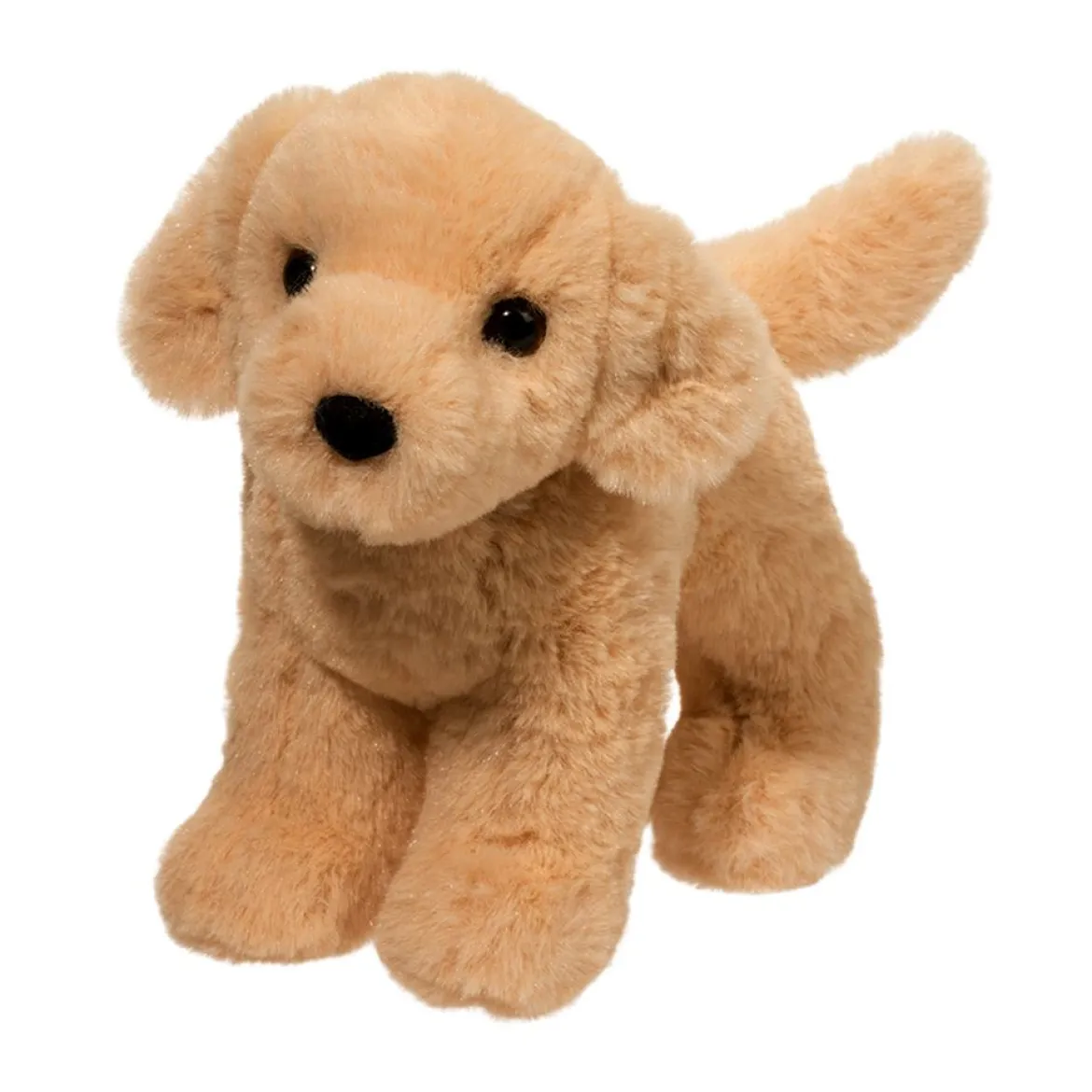 Cornell Yellow Lab
