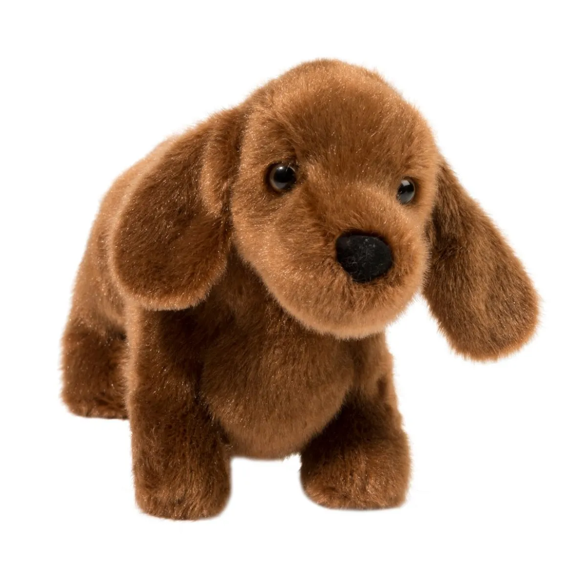 Dilly Dachshund