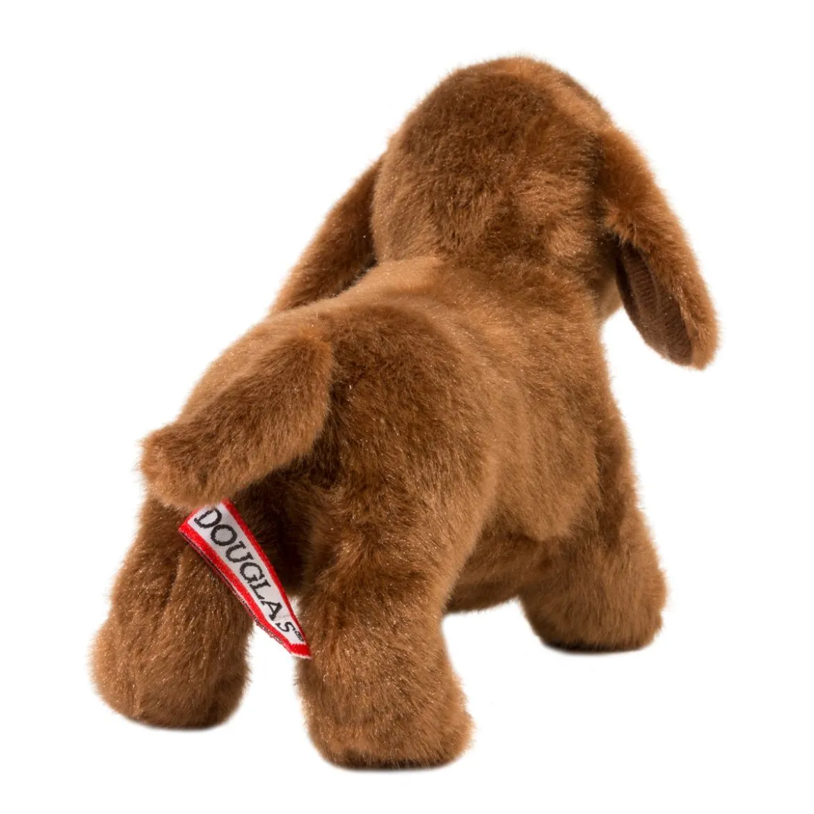 Dilly Dachshund