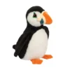 Diver Puffin