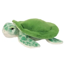 Drift Sea Turtle