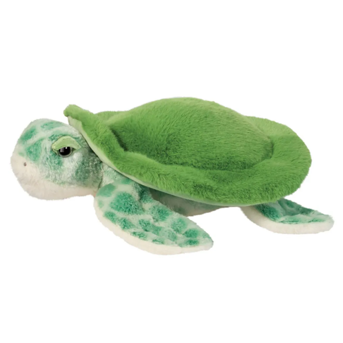 Drift Sea Turtle