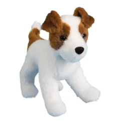 Feisty Jack Russel Terrier