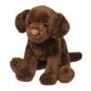 Finn Chocolate Lab