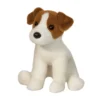 Fiona Jack Russell Terrier
