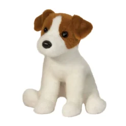 Fiona Jack Russell Terrier