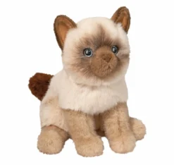 Fu Siamese Cat