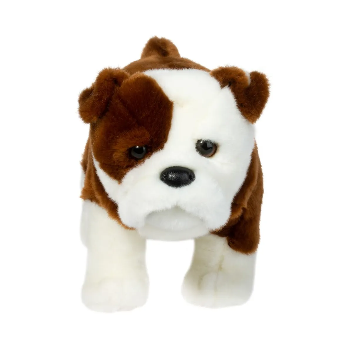 Hardy Bulldog
