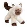 Hilda Himalayan Cat