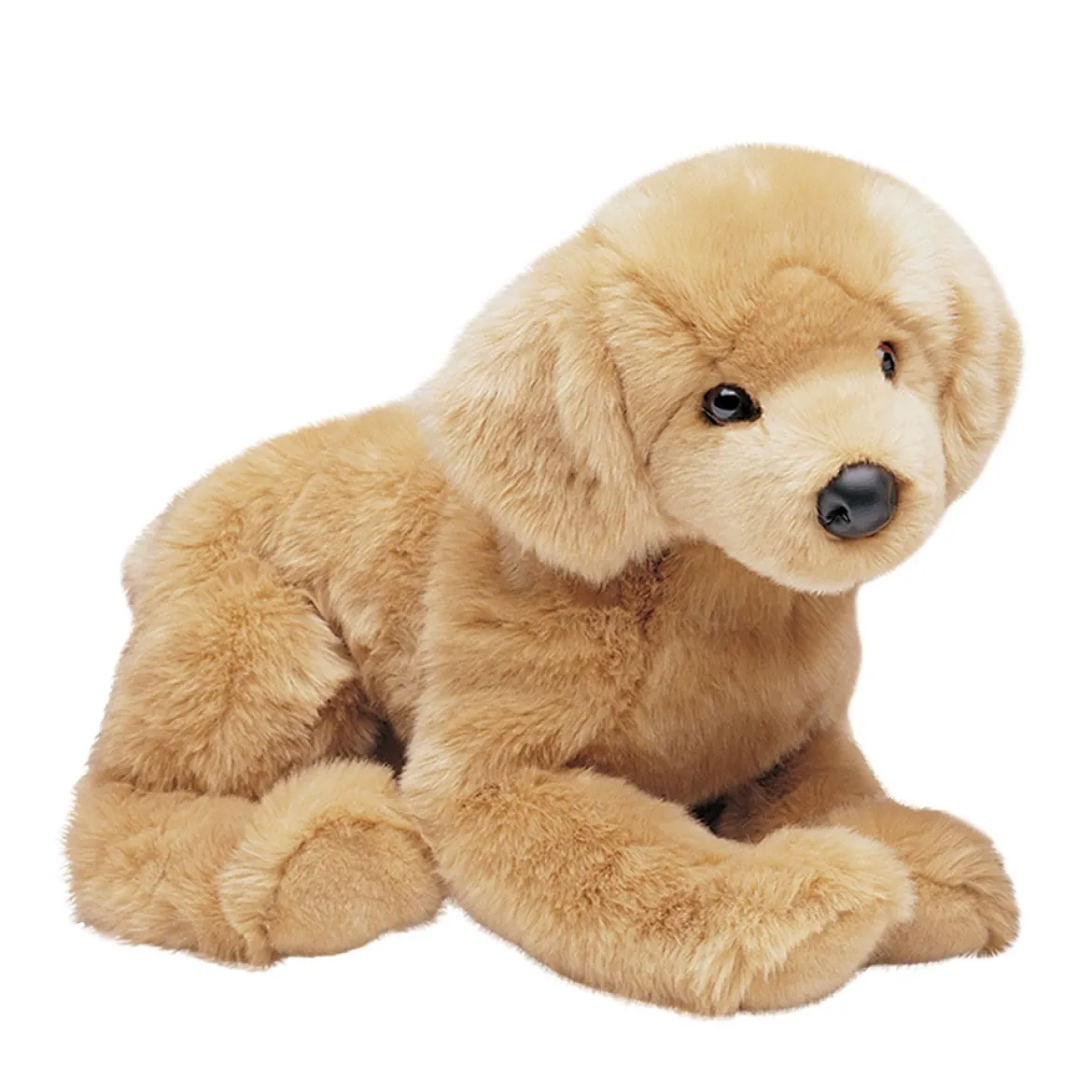 Honey Golden Retriever