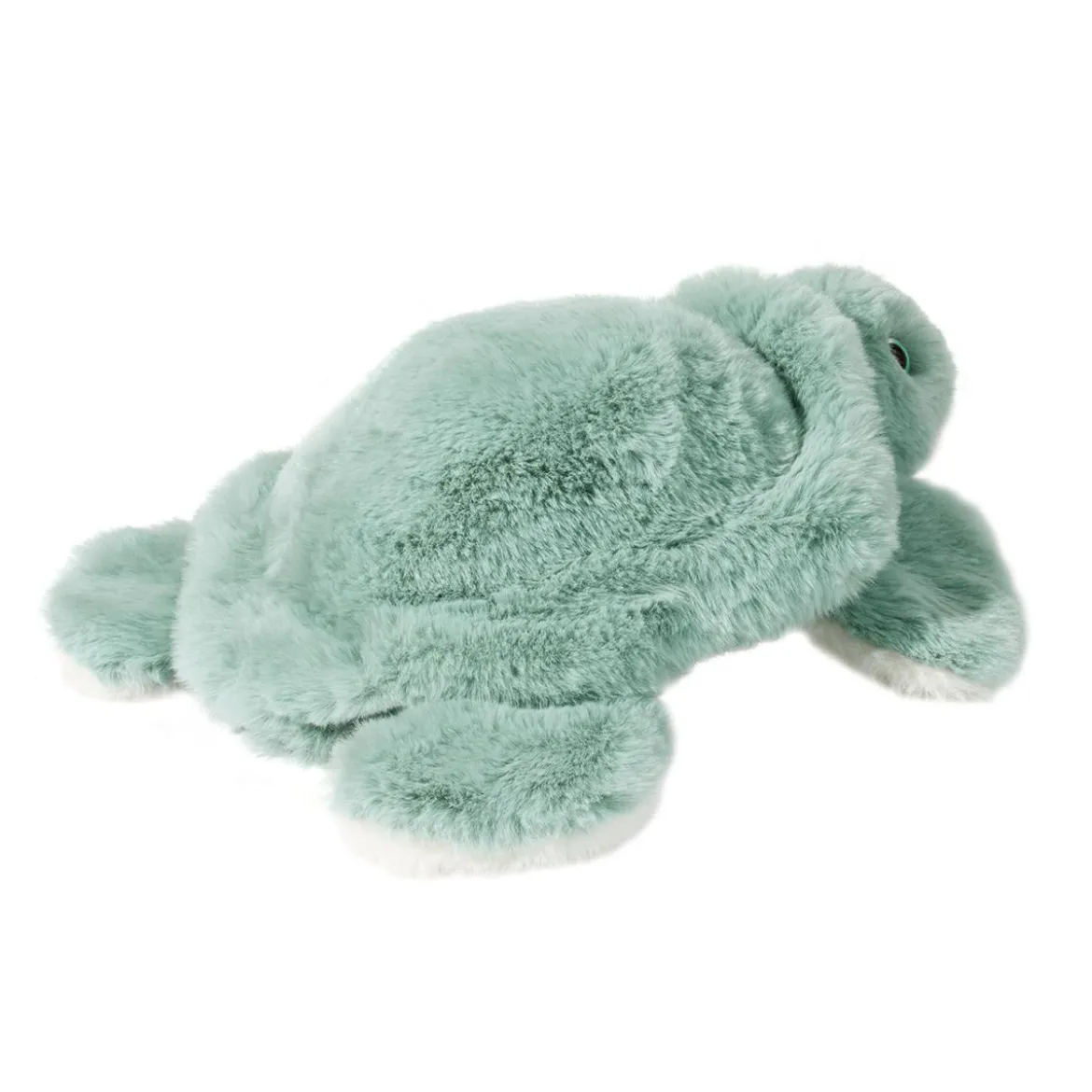 Jade Sea Turtle