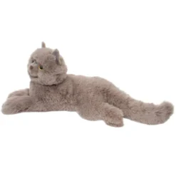 Juliette Persian Cat