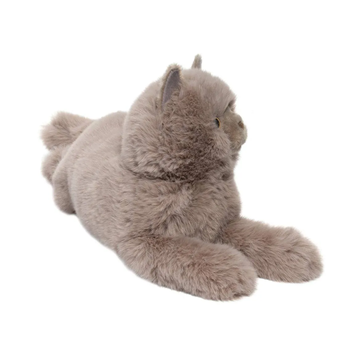 Juliette Persian Cat