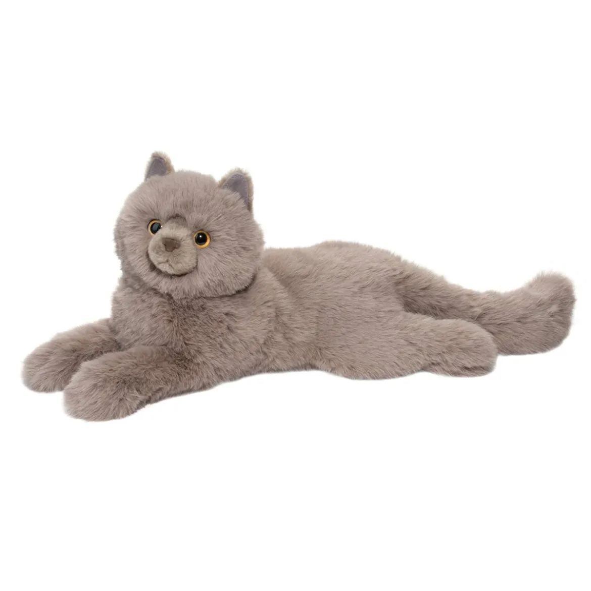 Juliette Persian Cat
