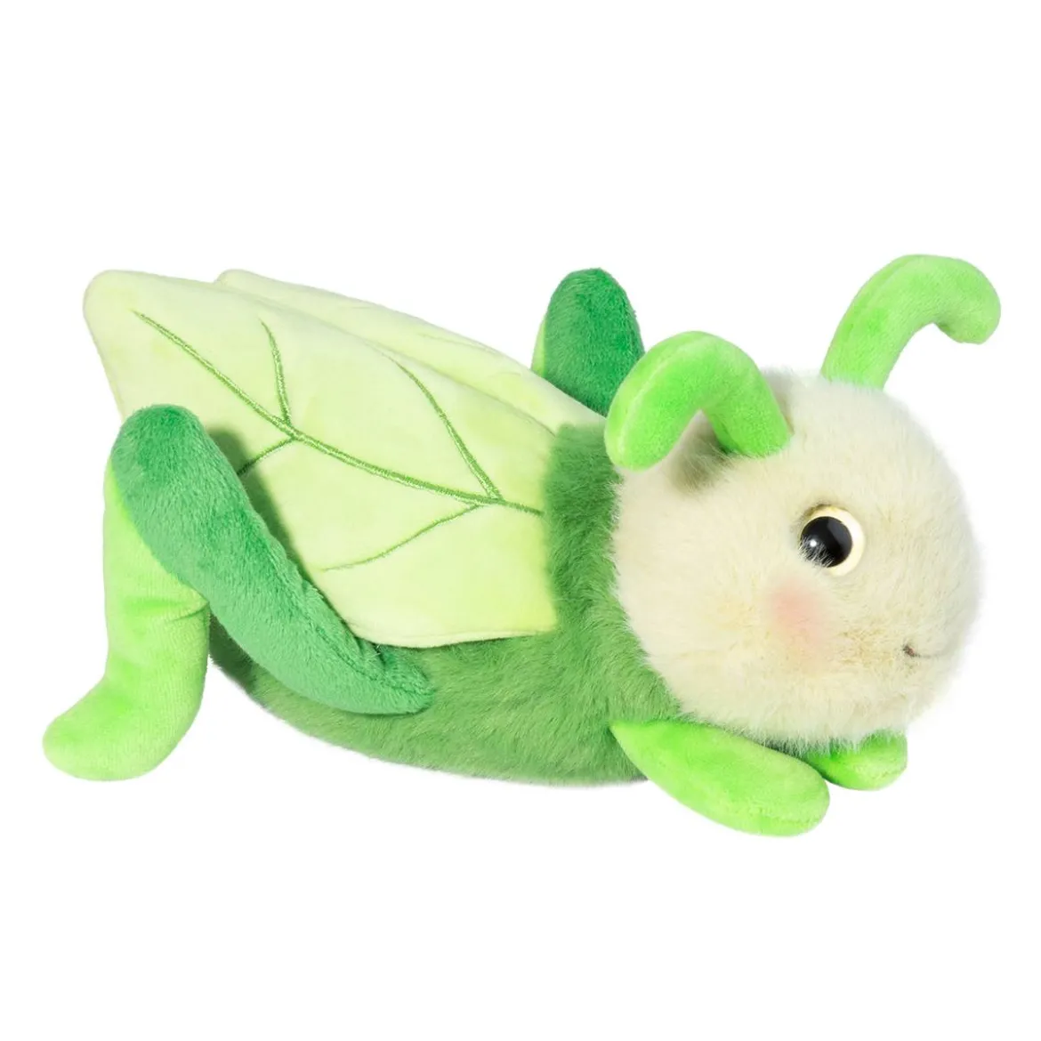 Kady Grasshopper
