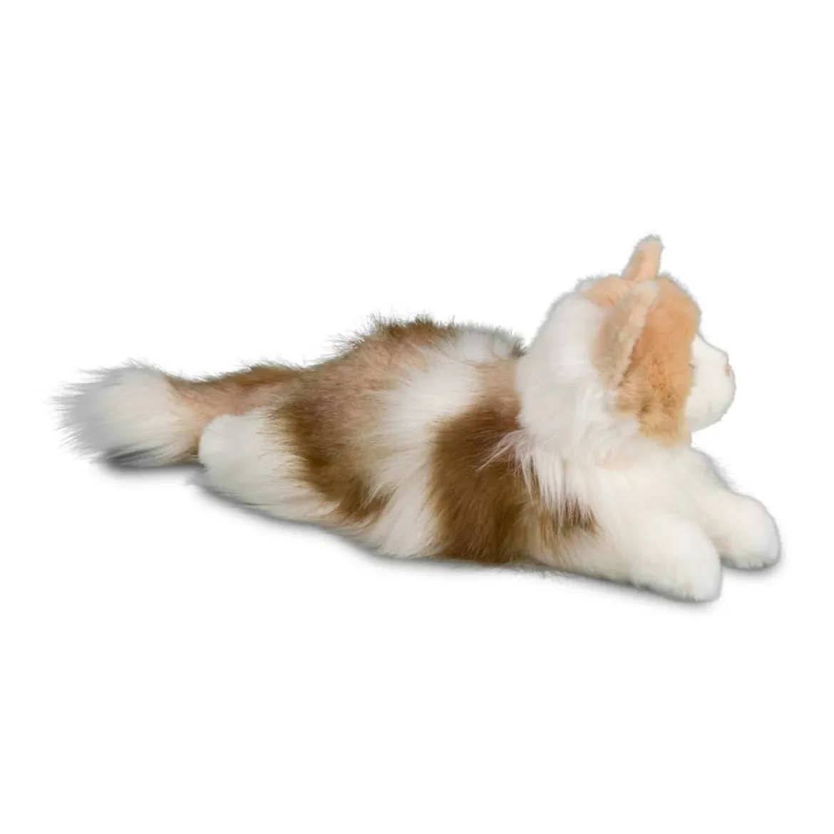 Kiki Ragdoll Cat