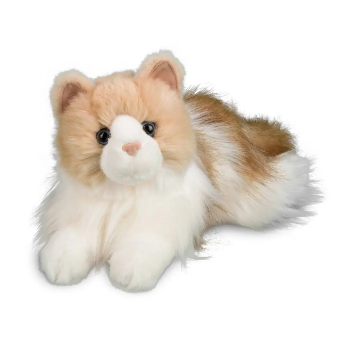 Kiki Ragdoll Cat