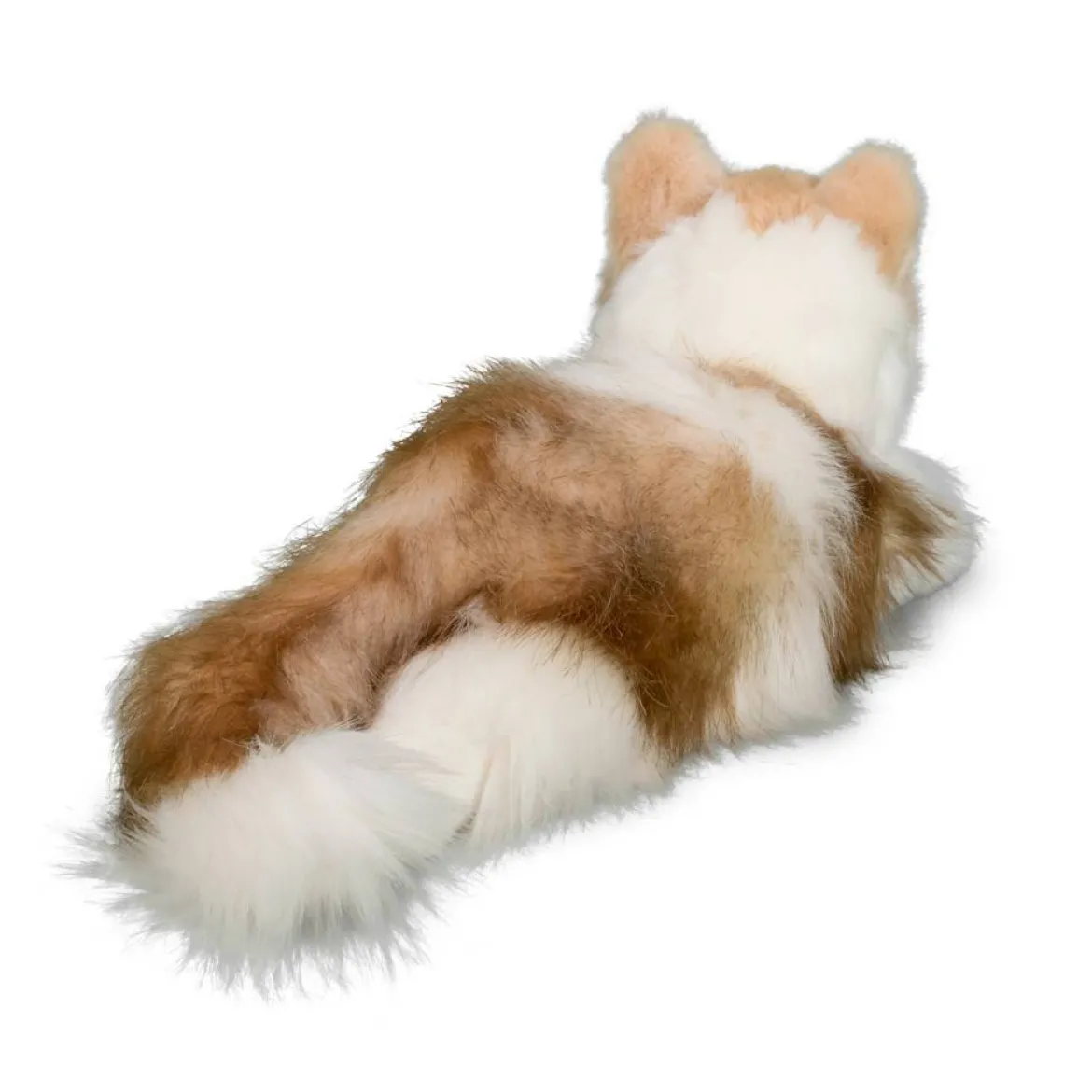 Kiki Ragdoll Cat