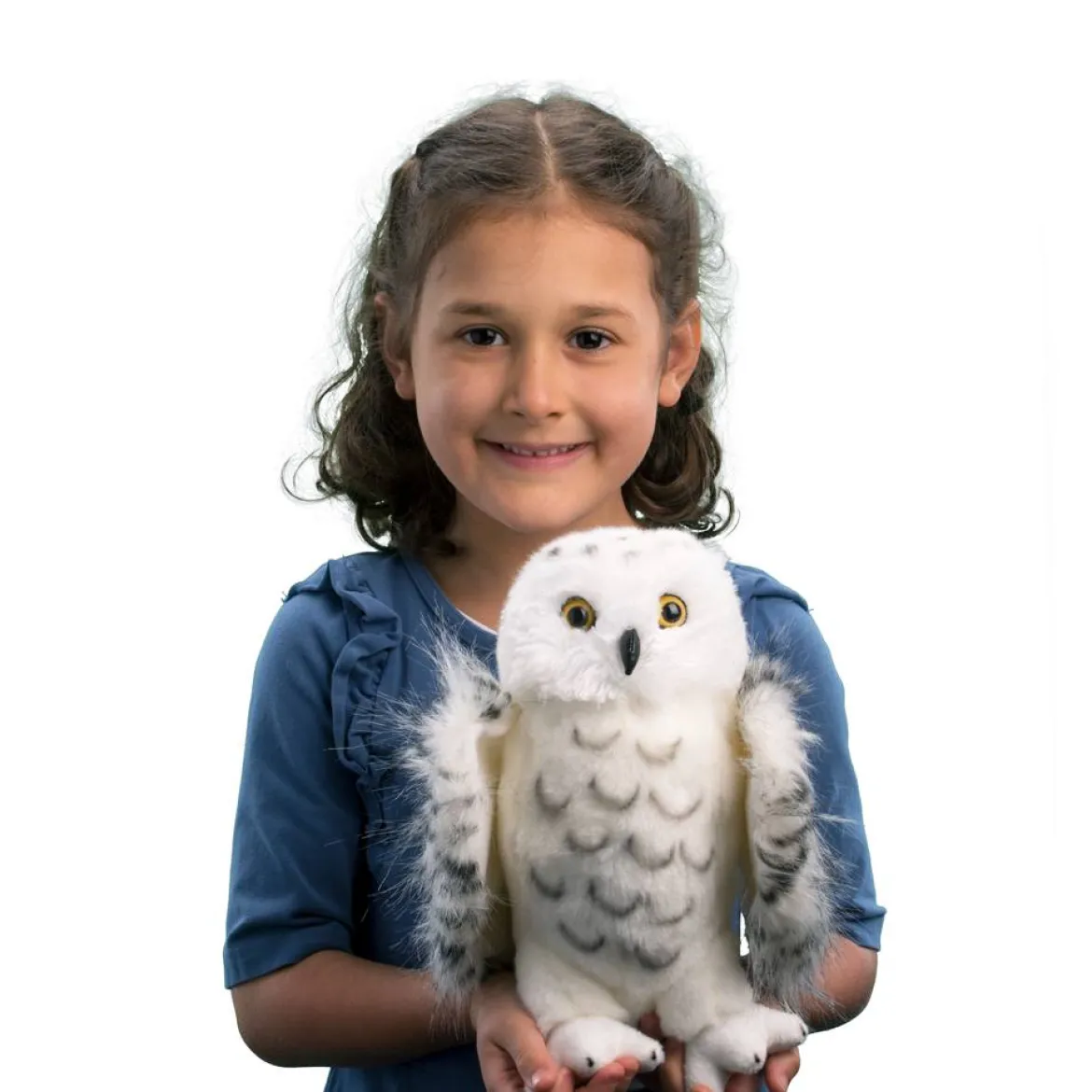 Legend Snowy Owl