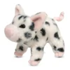Leroy Black Spotted Pig