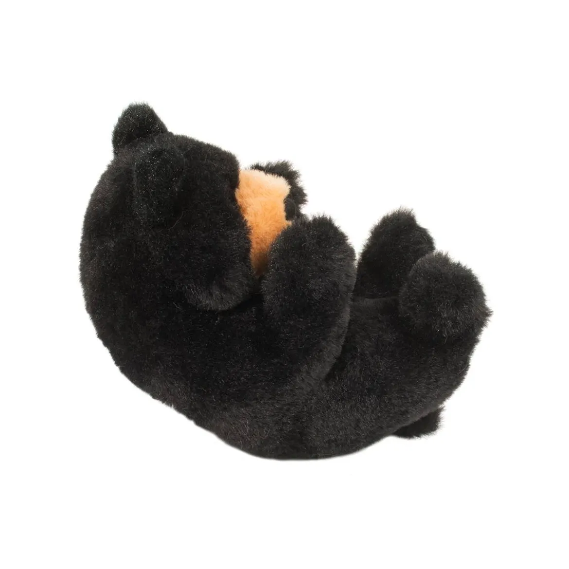 Lil’ Baby Black Bear