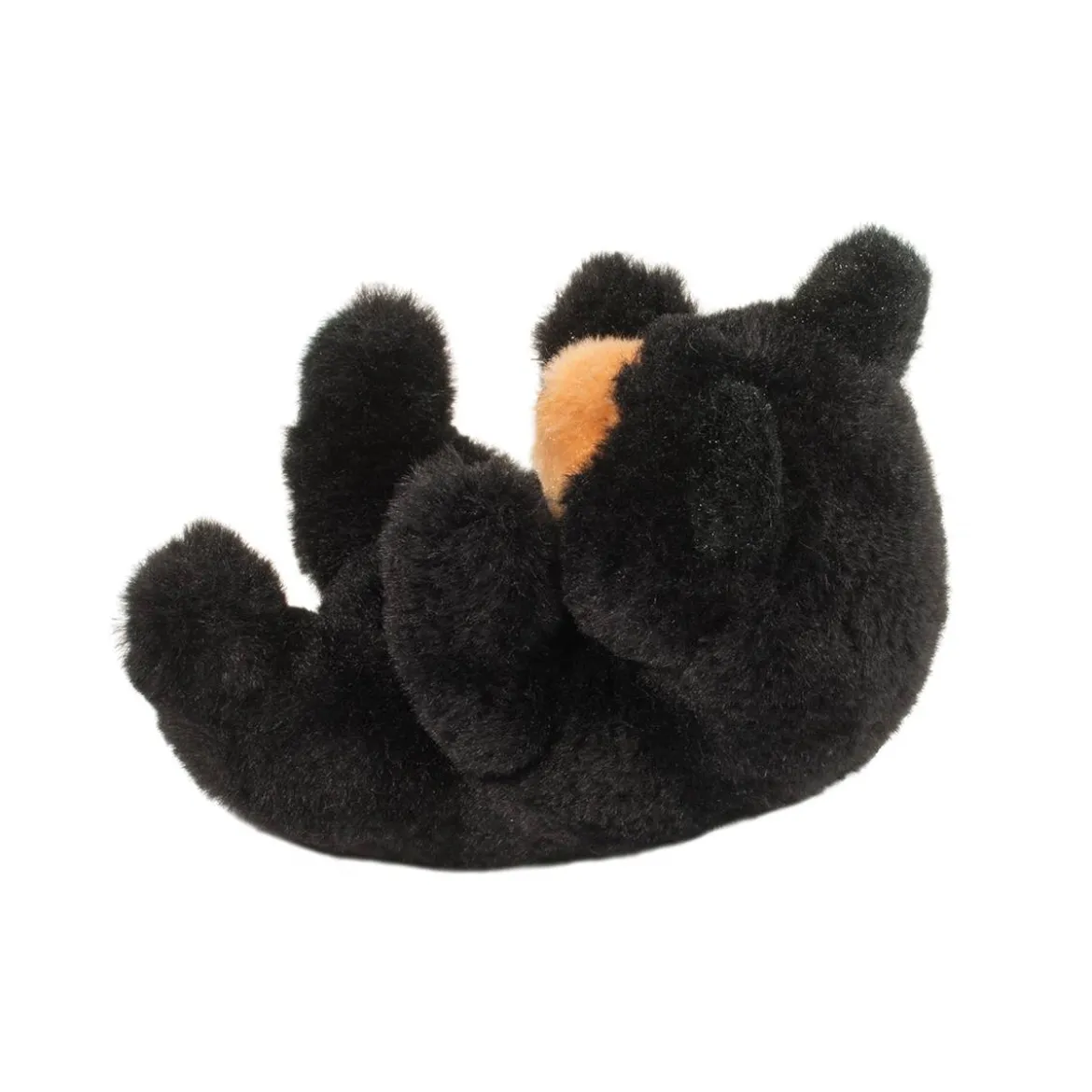 Lil’ Baby Black Bear
