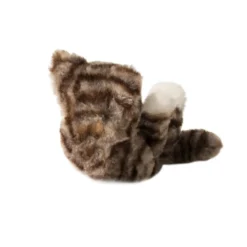 Lil’ Baby Gray Striped Kitten