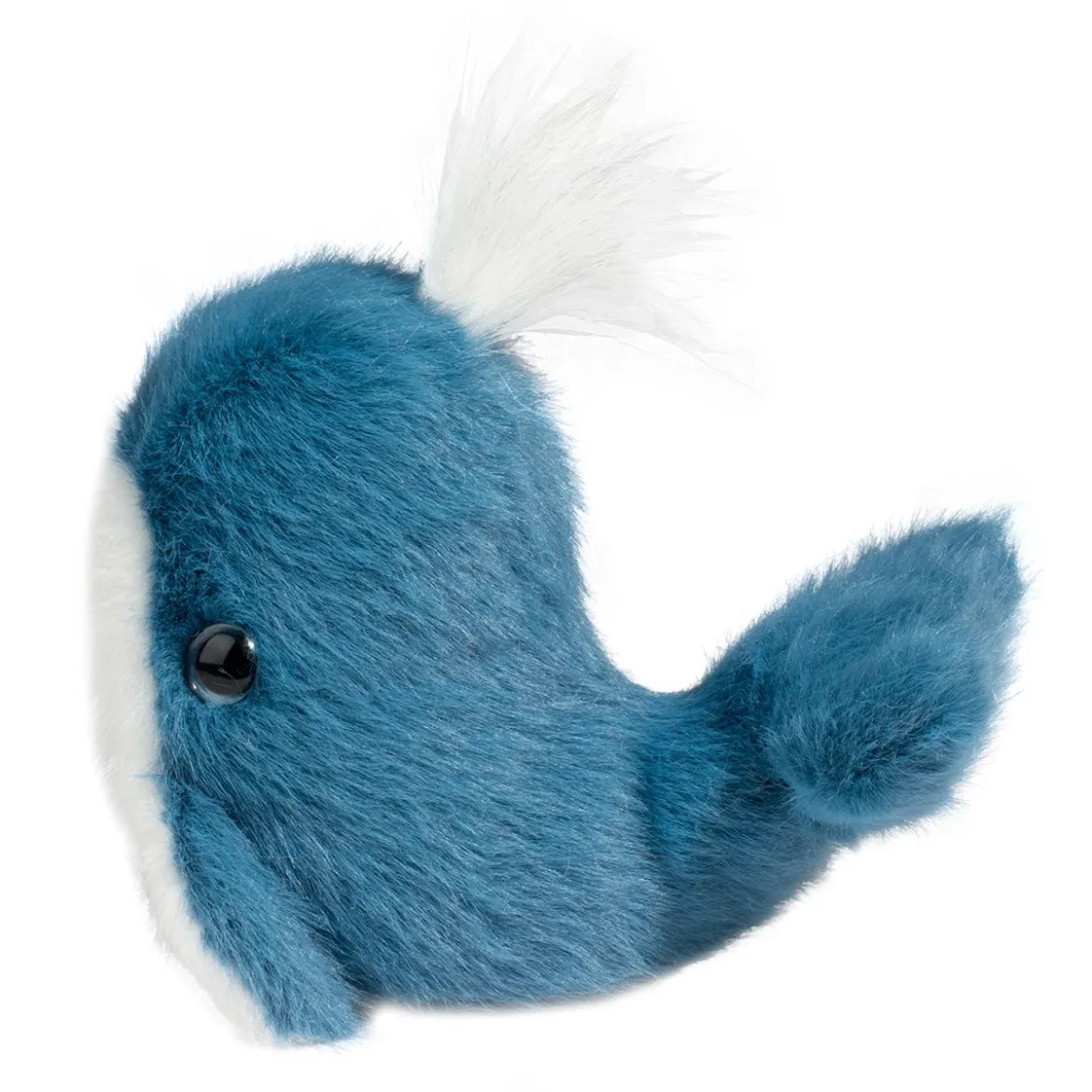 Lil’ Baby Whale
