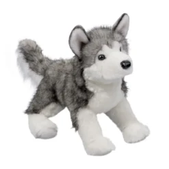 Lobo DLux Husky