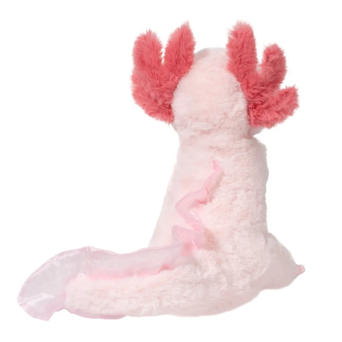 Luisa Axolotl