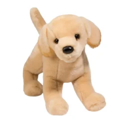 Mandy Yellow Lab