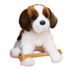 Oma St. Bernard