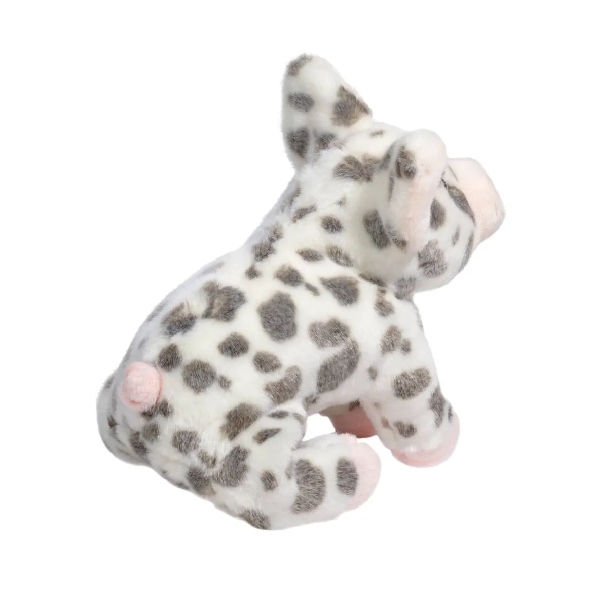Pauline Spotted Pig, Small