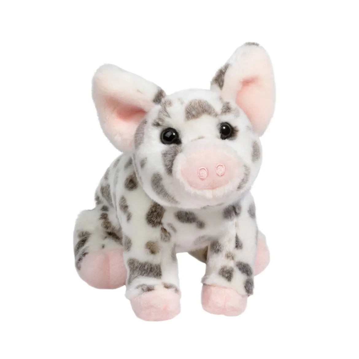 Pauline Spotted Pig, Small